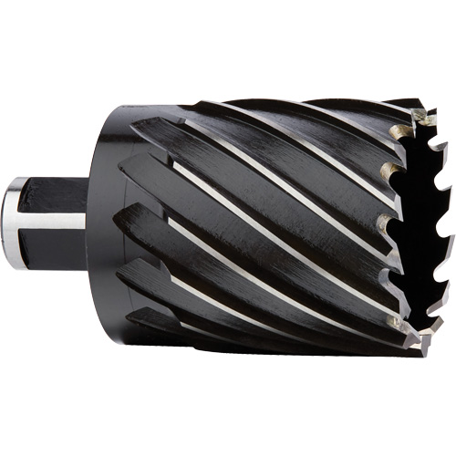 Couteau annulaire, Diam&egrave;tre de 2", Acier rapide, Profondeur de la coupe de 2", Tige 3/4" Planification Entrepots Molloy