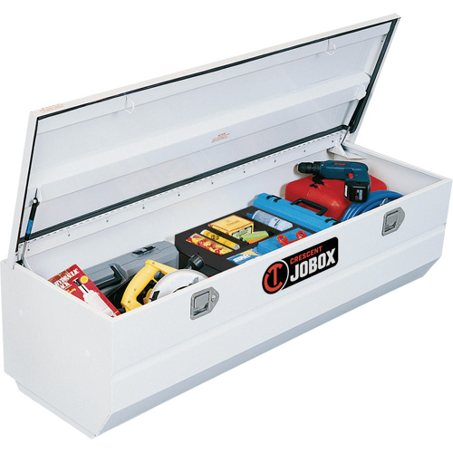 Heavy-Duty Truck Chest, 20-1/4" x 58-1/2" x 19", Steel, Beige/Black/Blue/Brown/Green/Grey/Orange/Red/Silver/Tan/Yellow Planification Entrepots Molloy