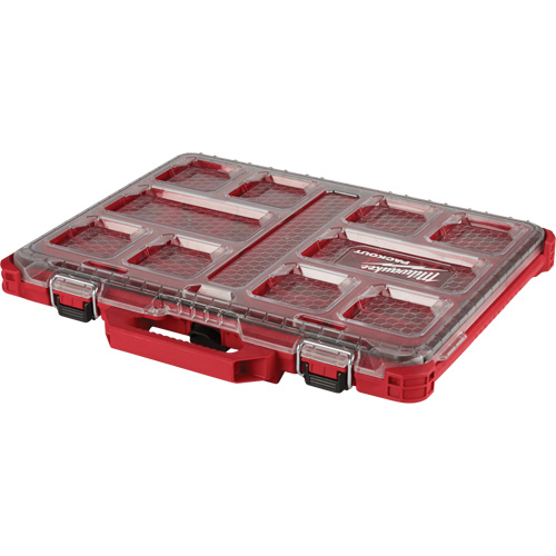 Organisateur profil&eacute; Packout, 19-3/4" x 16-2/5" x 2-1/2", Noir/Rouge Planification Entrepots Molloy