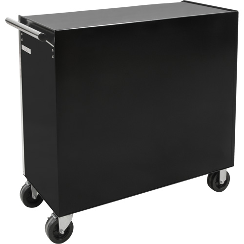 Industrial Tool Cart, 11 Drawers, 41" W x 18-3/4" D x 39-1/3" H, Black Planification Entrepots Molloy