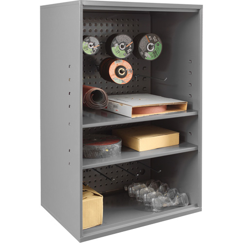Armoire d'entreposage de produits abrasifs avec panneau perfor&eacute;, Acier, 19-7/8" x 14-1/4" x 32-3/4", Gris Planification Entrepots Molloy