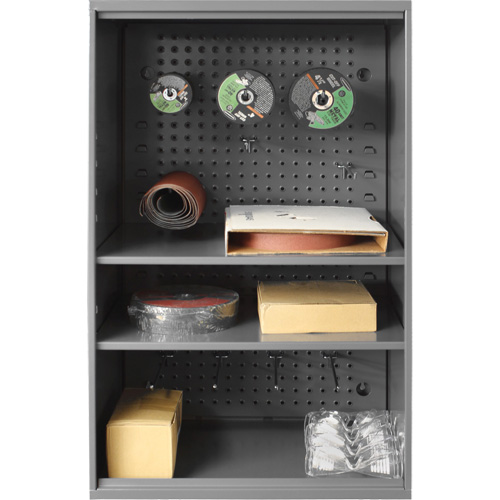 Armoire d'entreposage de produits abrasifs avec panneau perfor&eacute;, Acier, 19-7/8" x 14-1/4" x 32-3/4", Gris Planification Entrepots Molloy