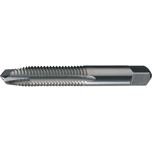Tarauds &agrave; entr&eacute;e inclin&eacute;e, acier rapide, fini brillant, Acier rapide, Filet de 8-36, 2-1/8" l Planification Entrepots Molloy