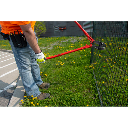 Bolt Cutters, 14" L, Center Cut Planification Entrepots Molloy