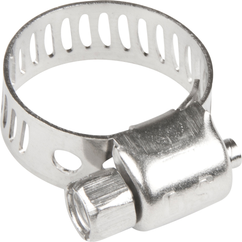 Hose Clamps - Stainless Steel Band & Screw, Min Dia. 1/5", Max Dia. 5/8" Planification Entrepots Molloy