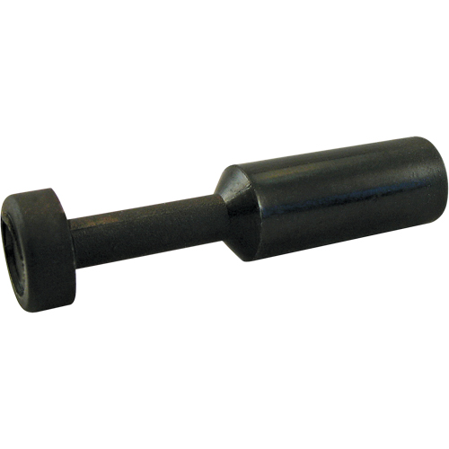 BOUCHON P.T.C. Planification Entrepots Molloy