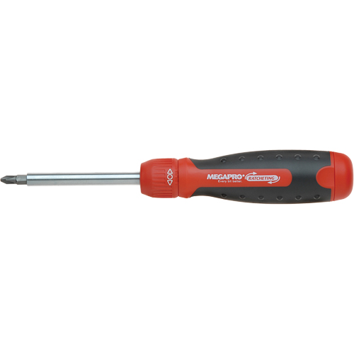 13-in-1 Ratcheting Driver, Cushion Grip Handle Planification Entrepots Molloy