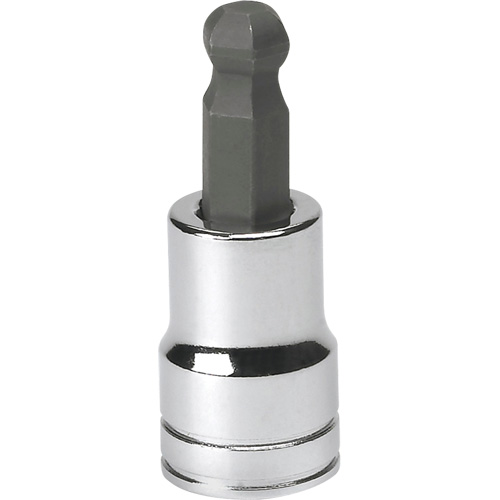 SAE Bit Socket, Hex Ball, 3/8" x 1.968" L, 3/8" Drive Planification Entrepots Molloy