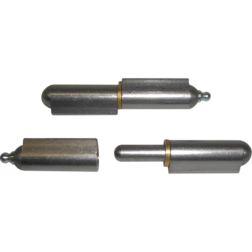 Charni&egrave;re &agrave; souder avec rondelles, 1/4" dia. x 2-3/8" lo, Aluminium a/goupille fixe en acier inoxydable Planification Entrepots Molloy