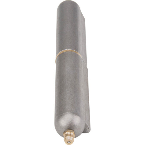 Weld-On Hinge, 0.787" Dia. x 5.906" L, Mild Steel w/Fixed Steel Pin Planification Entrepots Molloy