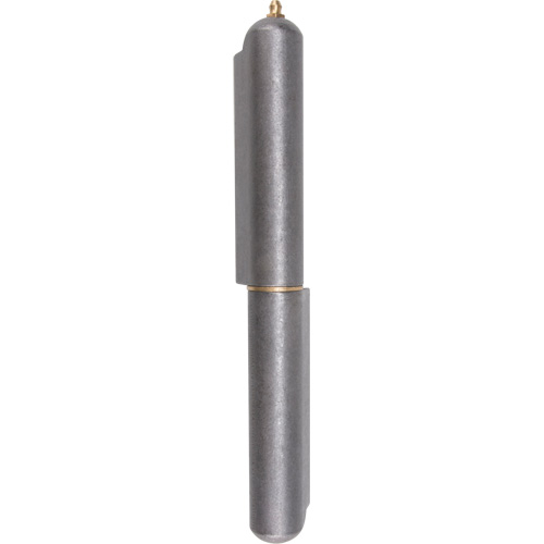 Weld-On Hinge, 1.102" Dia. x 10.236" L, Mild Steel w/Fixed Steel Pin Planification Entrepots Molloy