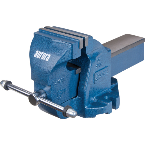 Heavy-Duty Bench Vise, 5" Jaw Width, 3-3/10" Throat Depth Planification Entrepots Molloy