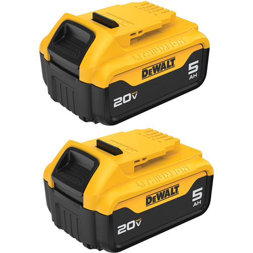 Bloc-piles Max XR Premium, Lithium-ion, 20 V, 5 A Planification Entrepots Molloy
