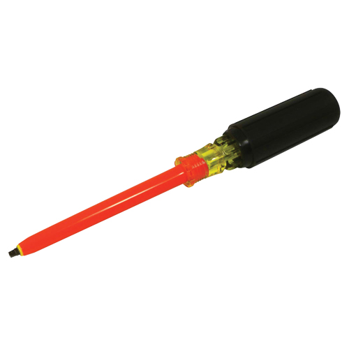 Square Screwdriver Planification Entrepots Molloy