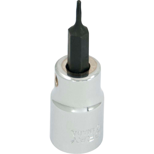 Bit Socket, Torx&reg;, T6 x 2-1/8" L, 3/8" Drive Planification Entrepots Molloy