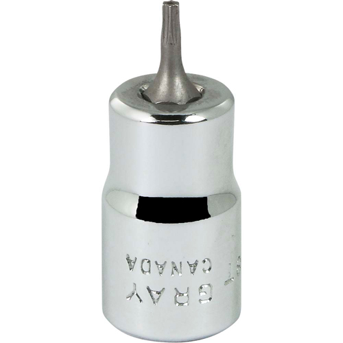 Bit Socket, Torx&reg;, T8 x 2-1/8" L, 3/8" Drive Planification Entrepots Molloy