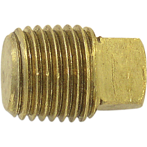 Pipe Plugs (Square Head), 1/4" Dia., Brass Planification Entrepots Molloy