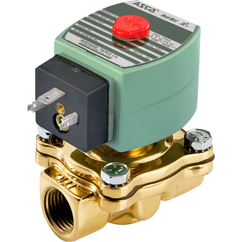Solenoid Valve, 1/2" Pipe, 150 PSI Planification Entrepots Molloy