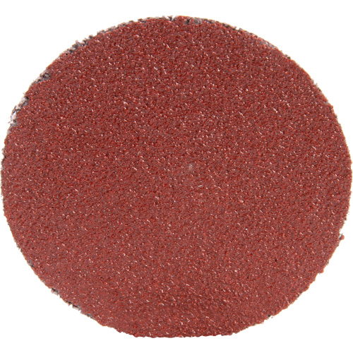Roloc Disc 361F, 1-1/2" Dia., P100 Grit, Aluminum Oxide Planification Entrepots Molloy