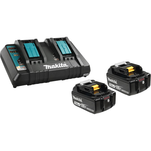 Li-Ion Battery & Dual-Port Charger Kit, 18 V, Lithium-Ion Planification Entrepots Molloy