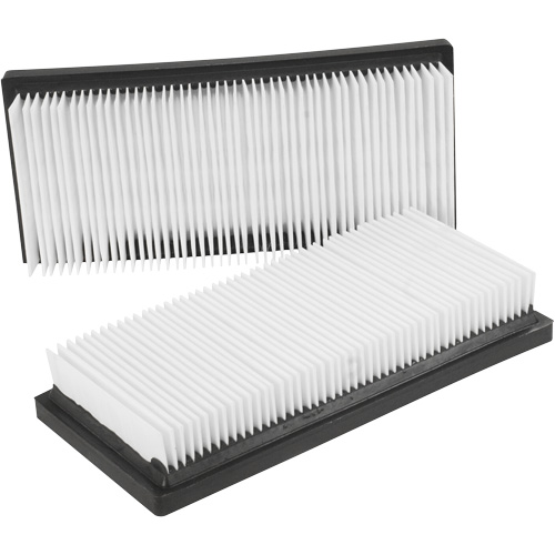 Filtres plats principaux, Cartouche, Pour 12 gal. US Planification Entrepots Molloy