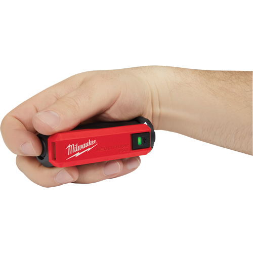 Redlithium USB Charger & Power Source, 4 V, Lithium-Ion Planification Entrepots Molloy