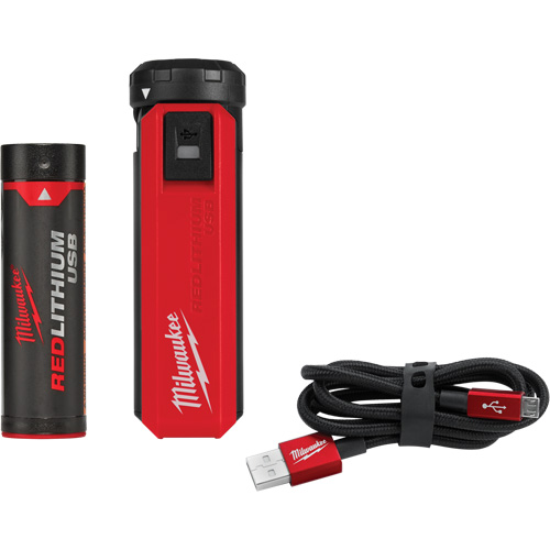Trousse d'alimentation et de chargeur USB Redlithium, 4 V, Lithium-ion Planification Entrepots Molloy