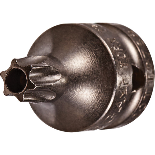 Socket Bit, Torx&reg; Tamper, 8 x 3/4" L, 1/4" Drive Planification Entrepots Molloy