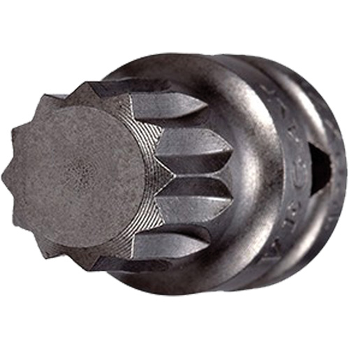 Socket Bit, Triple Square, 5 x 3/4" L, 1/4" Drive Planification Entrepots Molloy