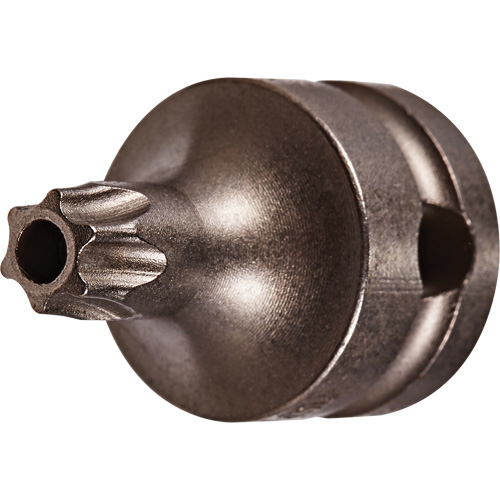Socket Bit, Torx&reg; Tamper, 25 x 1" L, 3/8" Drive Planification Entrepots Molloy