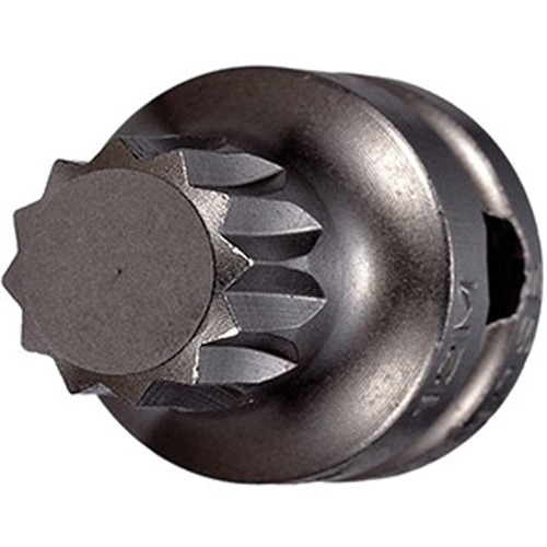 Socket Bit, Triple Square, 5 x 1" L, 3/8" Drive Planification Entrepots Molloy