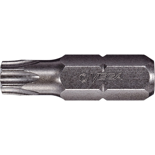 Tamper Insert Bit Planification Entrepots Molloy