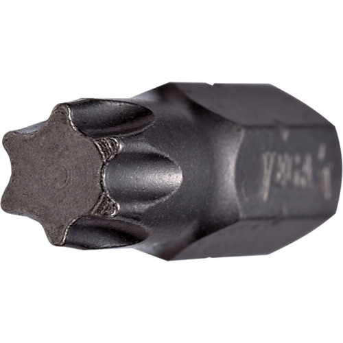 Tamper Insert Bit Planification Entrepots Molloy