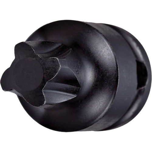 Socket Bit, Mortorq&reg; Super, 4 x 1-1/4" L, 3/8" Drive Planification Entrepots Molloy
