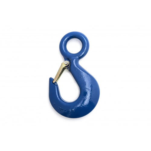 Hoist Hook Planification Entrepots Molloy