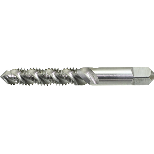 Drillco&reg; Spiral Flute Hand Tap, High Speed Steel, 1/4"-20 Thread Planification Entrepots Molloy