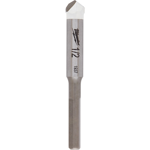 Natural Stone Bit, 1/2", Carbide Planification Entrepots Molloy