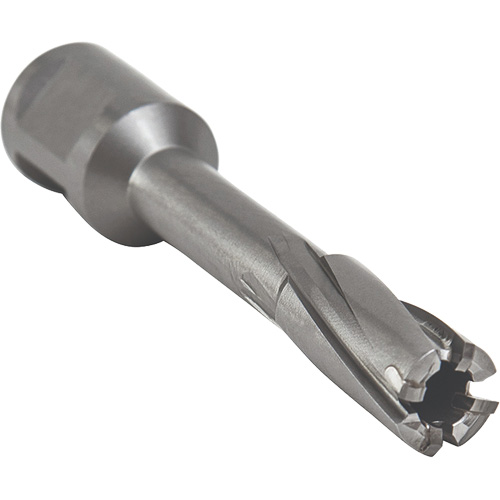 Core Cut Annular Cutter with Weldon Shank, 12 mm Diameter, Carbide, 55 mm Depth of Cut, 3/4" Shank Planification Entrepots Molloy