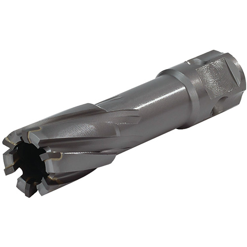 Couteau annulaire &agrave; tige universelle, Diam&egrave;tre de 24 mm, Carbure, Profondeur de la coupe de 55 mm, Tige 3/4" Planification Entrepots Molloy