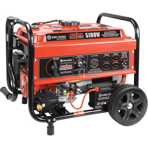 G&eacute;n&eacute;ratrice &agrave; essence/au propane &agrave; d&eacute;marreur &eacute;lectrique Planification Entrepots Molloy