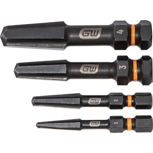 Bolt Biter Screw Extractor Set, High Speed Steel, 4 Pieces Planification Entrepots Molloy