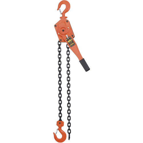 VLP Series Chain Hoists, 5' Lift, 6000 lbs. (3 tons) Capacity, Steel Chain Planification Entrepots Molloy