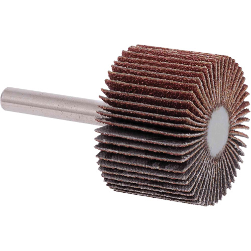 Disques &agrave; lamelles, Grain 40, 1-1/2" x 1" Planification Entrepots Molloy