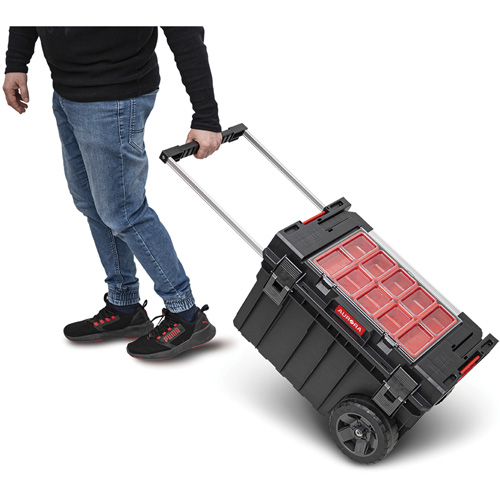 Arx&reg; Rolling Tool Chest, 23-4/5" x 16" x 15-3/5", Black Planification Entrepots Molloy