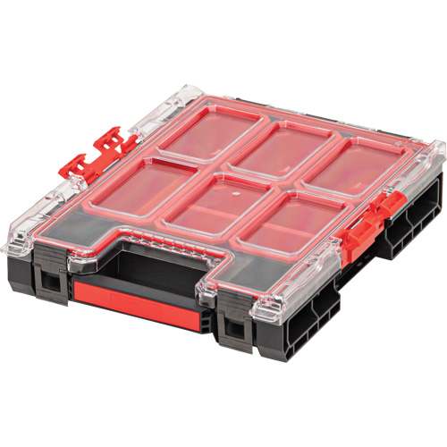 Arx Medium Organizer with Bins, 10-3/10" x 14-3/10" x 3", Black Planification Entrepots Molloy
