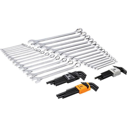 6-Point Combination Wrench and Hex Key Set in Foam Storage Tray Planification Entrepots Molloy