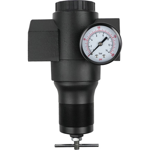 Aluminum Regulator, 1-1/2" NPT, 300 psi Max. PSI, In Line Planification Entrepots Molloy