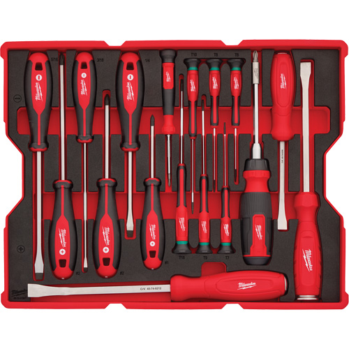 Jeu de tournevis et de leviers avec organisateur pour tiroirs PACKOUT, 17, Magn&eacute;tique Planification Entrepots Molloy