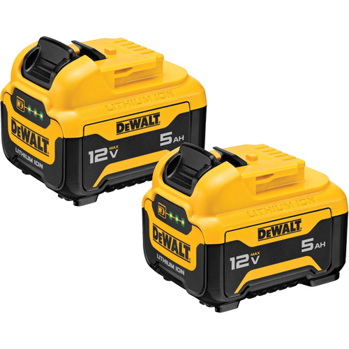 Max* Battery Packs, Lithium-Ion, 12 V, 5 Ah Planification Entrepots Molloy