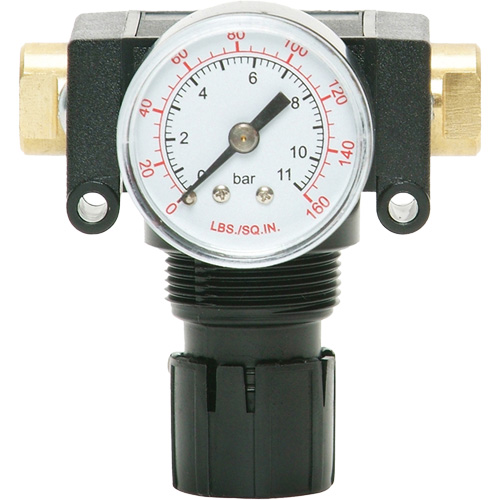 MODULAIR 200 Acetal Piston Regulator, 1/4" NPT, 150 PSI Max. PSI, In Line/Modular Planification Entrepots Molloy